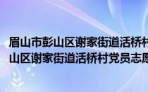 眉山市彭山区谢家街道活桥村党员志愿服务队(关于眉山市彭山区谢家街道活桥村党员志愿服务队的简介)