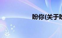 盼你(关于盼你的简介)