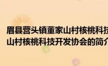 眉县营头镇董家山村核桃科技开发协会(关于眉县营头镇董家山村核桃科技开发协会的简介)