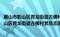 眉山市彭山区青龙街道古佛村党员志愿服务队(关于眉山市彭山区青龙街道古佛村党员志愿服务队的简介)