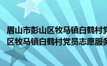 眉山市彭山区牧马镇白鹤村党员志愿服务队(关于眉山市彭山区牧马镇白鹤村党员志愿服务队的简介)