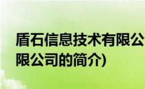 盾石信息技术有限公司(关于盾石信息技术有限公司的简介)