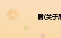 盾(关于盾的简介)
