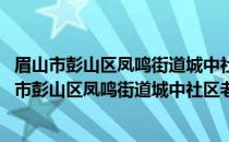 眉山市彭山区凤鸣街道城中社区老年志愿服务小队(关于眉山市彭山区凤鸣街道城中社区老年志愿服务小队的简介)