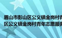 眉山市彭山区公义镇金岗村青年志愿服务队(关于眉山市彭山区公义镇金岗村青年志愿服务队的简介)