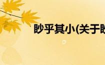 眇乎其小(关于眇乎其小的简介)