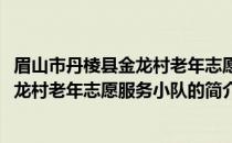眉山市丹棱县金龙村老年志愿服务小队(关于眉山市丹棱县金龙村老年志愿服务小队的简介)