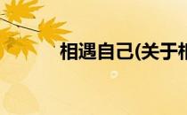 相遇自己(关于相遇自己的简介)
