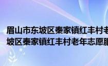 眉山市东坡区秦家镇红丰村老年志愿服务小队(关于眉山市东坡区秦家镇红丰村老年志愿服务小队的简介)