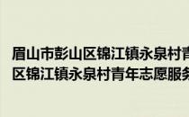 眉山市彭山区锦江镇永泉村青年志愿服务队(关于眉山市彭山区锦江镇永泉村青年志愿服务队的简介)