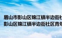 眉山市彭山区锦江镇半边街社区青年志愿服务队(关于眉山市彭山区锦江镇半边街社区青年志愿服务队的简介)