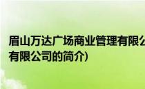眉山万达广场商业管理有限公司(关于眉山万达广场商业管理有限公司的简介)