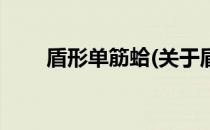 盾形单筋蛤(关于盾形单筋蛤的简介)