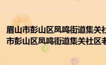 眉山市彭山区凤鸣街道集关社区老年志愿服务小队(关于眉山市彭山区凤鸣街道集关社区老年志愿服务小队的简介)