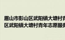 眉山市彭山区武阳镇大塘村青年志愿服务队(关于眉山市彭山区武阳镇大塘村青年志愿服务队的简介)