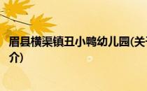 眉县横渠镇丑小鸭幼儿园(关于眉县横渠镇丑小鸭幼儿园的简介)