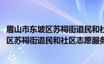 眉山市东坡区苏祠街道民和社区志愿服务队(关于眉山市东坡区苏祠街道民和社区志愿服务队的简介)