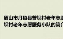 眉山市丹棱县曾坝村老年志愿服务小队(关于眉山市丹棱县曾坝村老年志愿服务小队的简介)