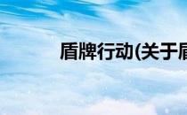 盾牌行动(关于盾牌行动的简介)