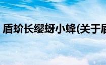 盾蚧长缨蚜小蜂(关于盾蚧长缨蚜小蜂的简介)
