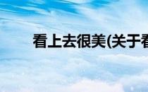 看上去很美(关于看上去很美的简介)