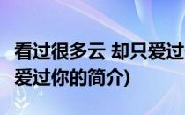 看过很多云 却只爱过你(关于看过很多云 却只爱过你的简介)