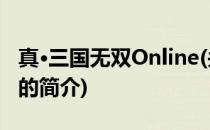 真·三国无双Online(关于真·三国无双Online的简介)