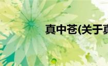 真中苍(关于真中苍的简介)