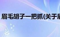 眉毛胡子一把抓(关于眉毛胡子一把抓的简介)