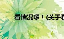 看情况啰！(关于看情况啰！的简介)