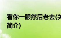 看你一眼然后老去(关于看你一眼然后老去的简介)