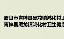 眉山市青神县黑龙镇鸿化村卫生健康志愿服务队(关于眉山市青神县黑龙镇鸿化村卫生健康志愿服务队的简介)