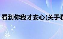 看到你我才安心(关于看到你我才安心的简介)