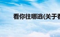 看你往哪逃(关于看你往哪逃的简介)