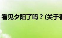 看见夕阳了吗？(关于看见夕阳了吗？的简介)
