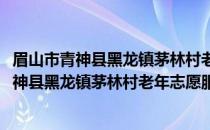 眉山市青神县黑龙镇茅林村老年志愿服务小队(关于眉山市青神县黑龙镇茅林村老年志愿服务小队的简介)