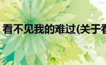 看不见我的难过(关于看不见我的难过的简介)