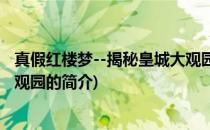 真假红楼梦--揭秘皇城大观园(关于真假红楼梦--揭秘皇城大观园的简介)