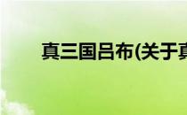 真三国吕布(关于真三国吕布的简介)