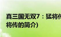 真三国无双7：猛将传(关于真三国无双7：猛将传的简介)