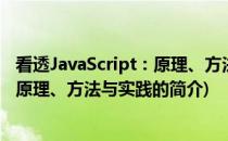 看透JavaScript：原理、方法与实践(关于看透JavaScript：原理、方法与实践的简介)