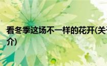 看冬季这场不一样的花开(关于看冬季这场不一样的花开的简介)