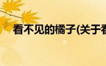 看不见的橘子(关于看不见的橘子的简介)