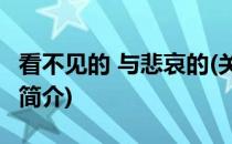 看不见的 与悲哀的(关于看不见的 与悲哀的的简介)