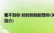 看不到你 时时刻刻的想你(关于看不到你 时时刻刻的想你的简介)