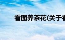 看图养茶花(关于看图养茶花的简介)