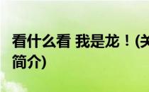 看什么看 我是龙！(关于看什么看 我是龙！的简介)