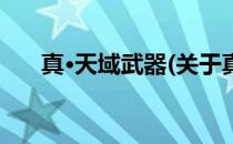 真·天域武器(关于真·天域武器的简介)