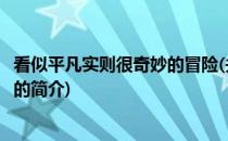 看似平凡实则很奇妙的冒险(关于看似平凡实则很奇妙的冒险的简介)