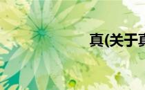 真(关于真的简介)
